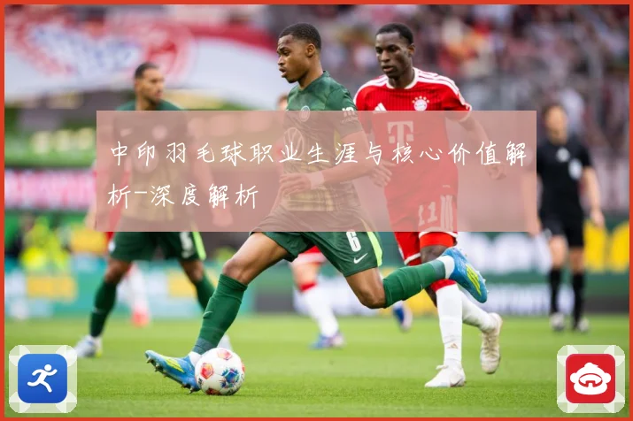 中印羽毛球职业生涯与核心价值解析-深度解析