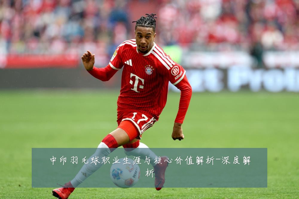 中印羽毛球职业生涯与核心价值解析-深度解析